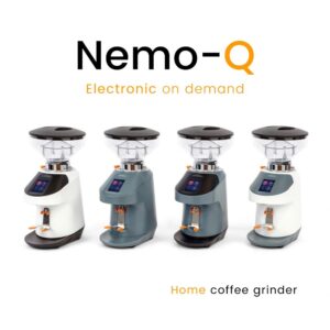 Nemo